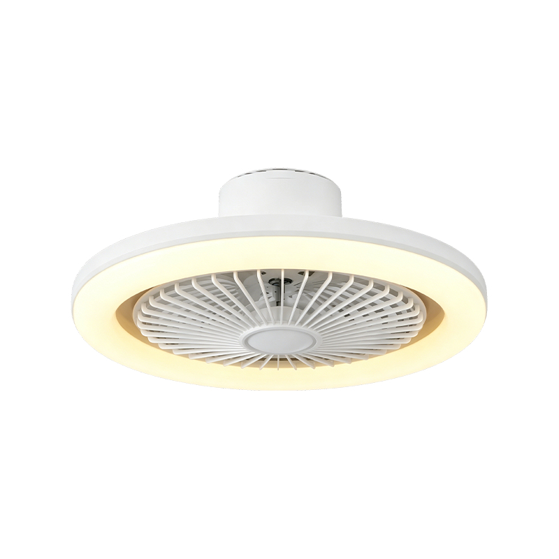 Stropni ventilator za spavaću sobu sa svjetlom Stropni ventilator za spavaću sobu sa svjetlom